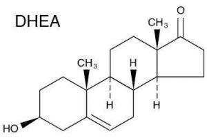 molécule de DHEA